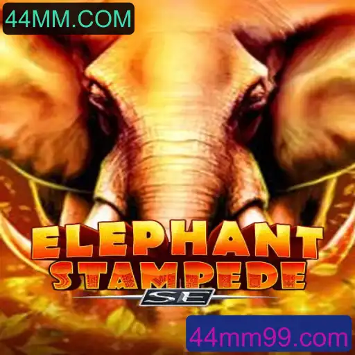 Explorando o Mundo de ElephantStampedeSE