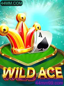 Explorando o Mundo Empolgante de WildAce: Seu Novo Jogo Favorito